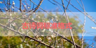 古诗词标准格式 