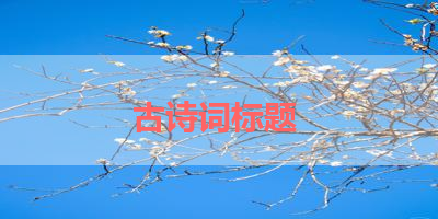 古诗词标题 