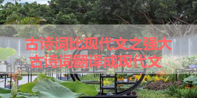 古诗词比现代文之强大 古诗词翻译成现代文