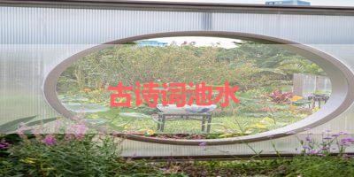 古诗词池水 