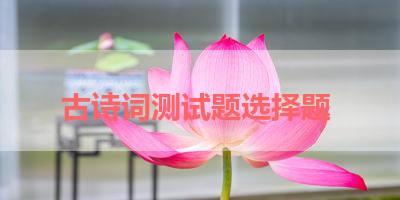 古诗词测试题选择题 