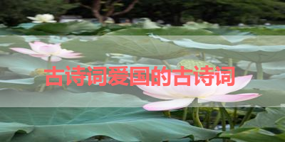 古诗词爱国的古诗词 