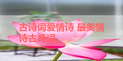 古诗词爱情诗 最美情诗古诗词