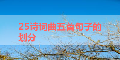 25诗词曲五首句子的划分 