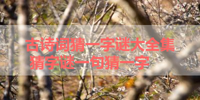 古诗词猜一字谜大全集 猜字谜一句猜一字