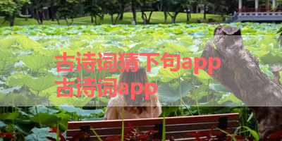 古诗词猜下句app 古诗词app