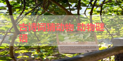 古诗词猜动物 动物谜语
