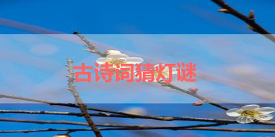 古诗词猜灯谜 