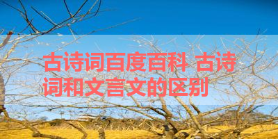 古诗词百度百科 古诗词和文言文的区别 