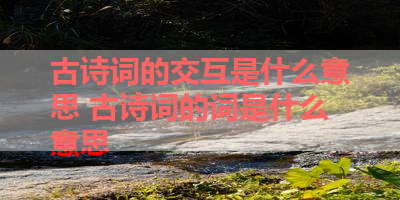 古诗词的交互是什么意思 古诗词的词是什么意思