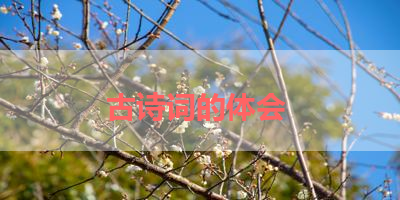 古诗词的体会 
