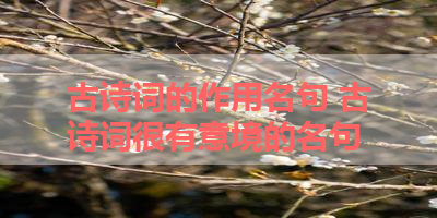 古诗词的作用名句 古诗词很有意境的名句