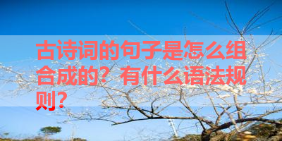 古诗词的句子是怎么组合成的？有什么语法规则？ 