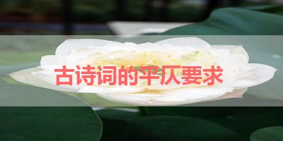 古诗词的平仄要求 