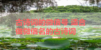 古诗词的微信号 适合做微信名的古诗词