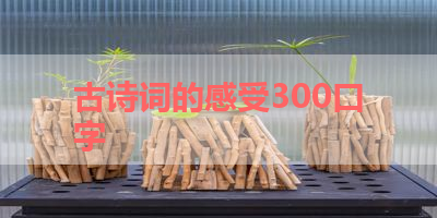 古诗词的感受300口字 