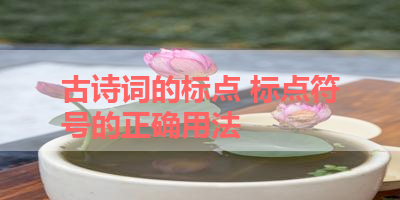 古诗词的标点 标点符号的正确用法