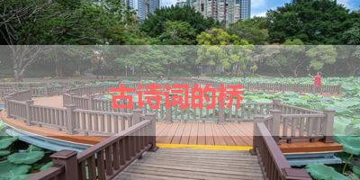 古诗词的桥 