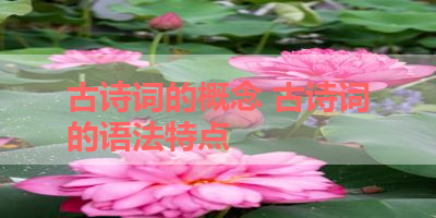 古诗词的概念 古诗词的语法特点