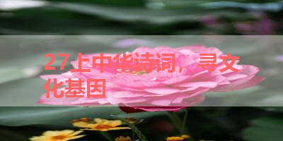 27上中华诗词，寻文化基因 