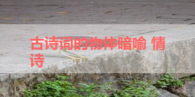 古诗词的物体暗喻 情诗 