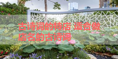 古诗词的特店 适合做店名的古诗词