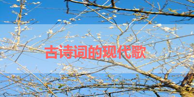 古诗词的现代歌 