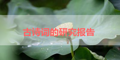 古诗词的研究报告 