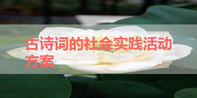 古诗词的社会实践活动方案 