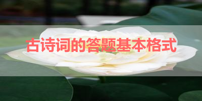 古诗词的答题基本格式 
