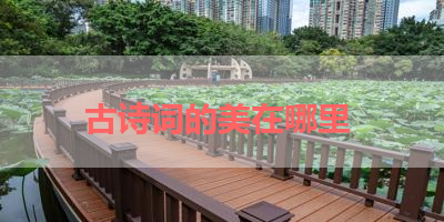 古诗词的美在哪里 