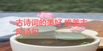 古诗词的美好 唯美古风诗句 