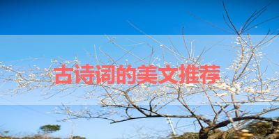 古诗词的美文推荐 