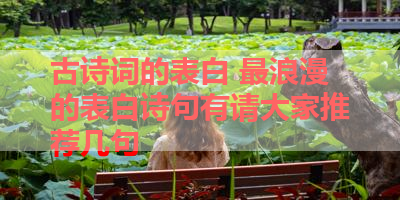 古诗词的表白 最浪漫的表白诗句有请大家推荐几句 