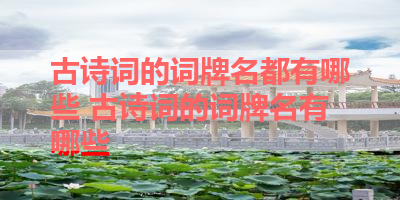 古诗词的词牌名都有哪些 古诗词的词牌名有哪些