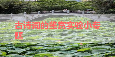 古诗词的鉴赏实验小专题 