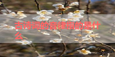 古诗词的音律指的是什么 