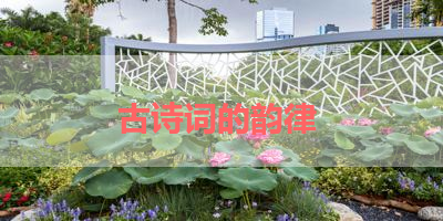 古诗词的韵律 