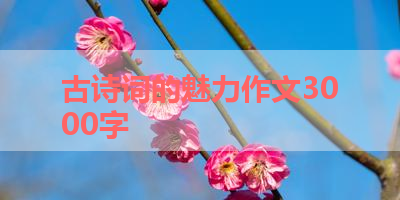 古诗词的魅力作文3000字 