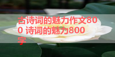 古诗词的魅力作文800 诗词的魅力800字
