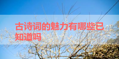 古诗词的魅力有哪些已知道吗 