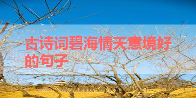 古诗词碧海情天意境好的句子 