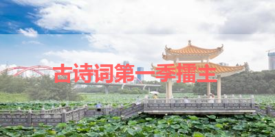 古诗词第一季擂主 