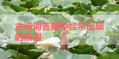古诗词答题中经常出现的氛围 
