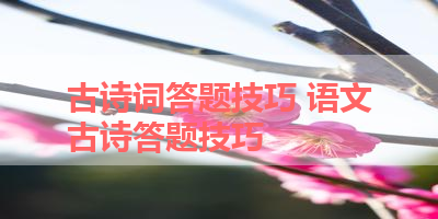 古诗词答题技巧 语文古诗答题技巧 