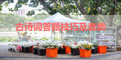古诗词答题技巧及套路 