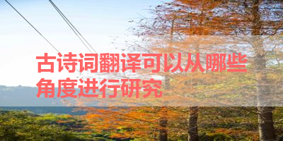 古诗词翻译可以从哪些角度进行研究 