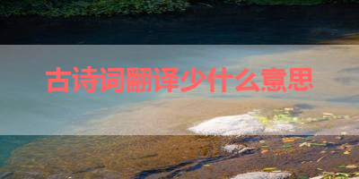 古诗词翻译少什么意思 