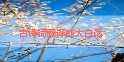 古诗词翻译成大白话 