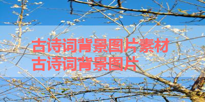 古诗词背景图片素材 古诗词背景图片